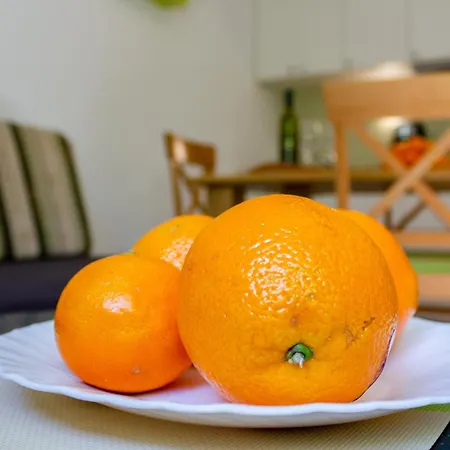 Filipovic, 3 Min Walk To The Apartman *